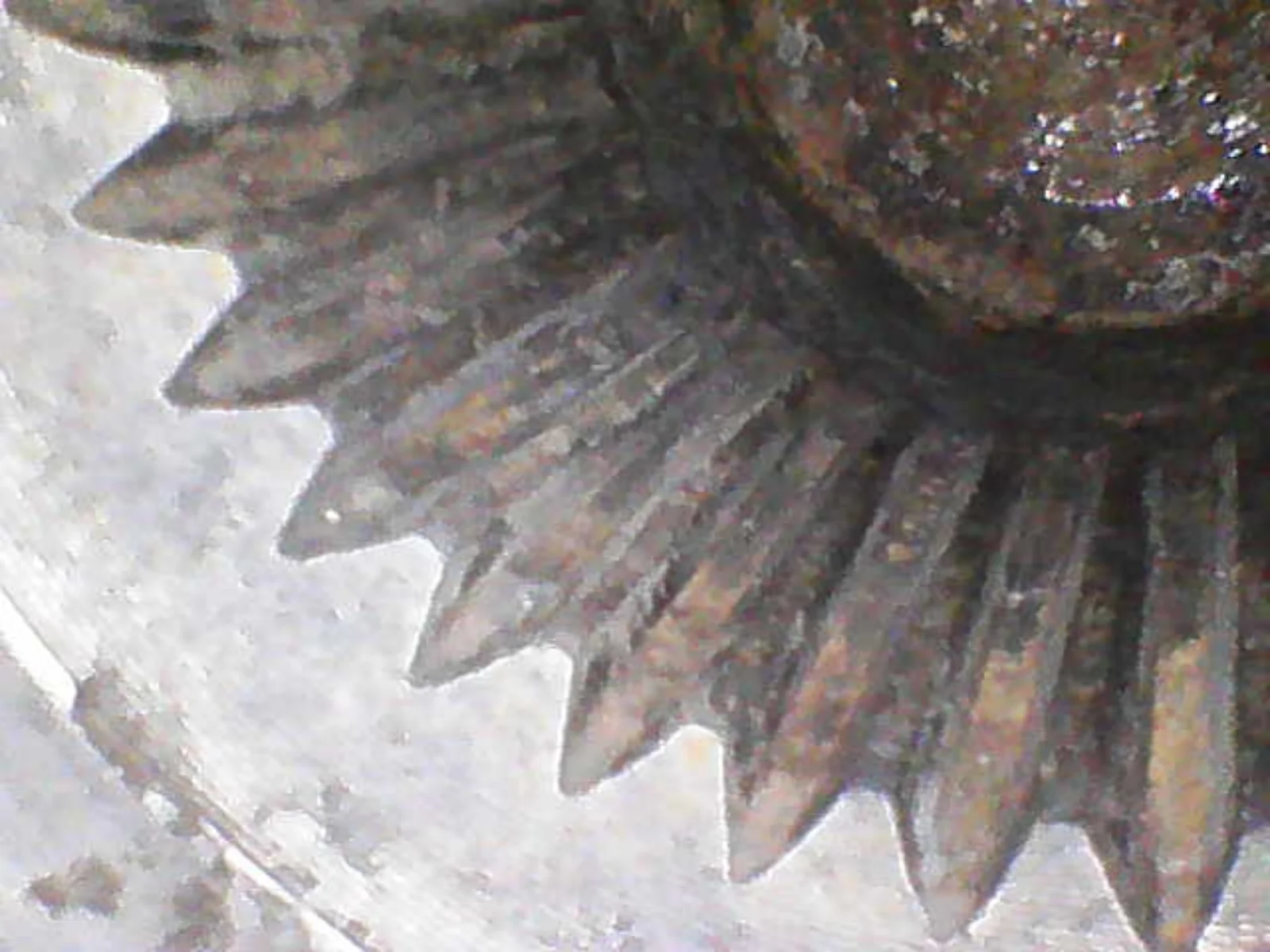 Image_2025-12-18 20_14_21_279.webp